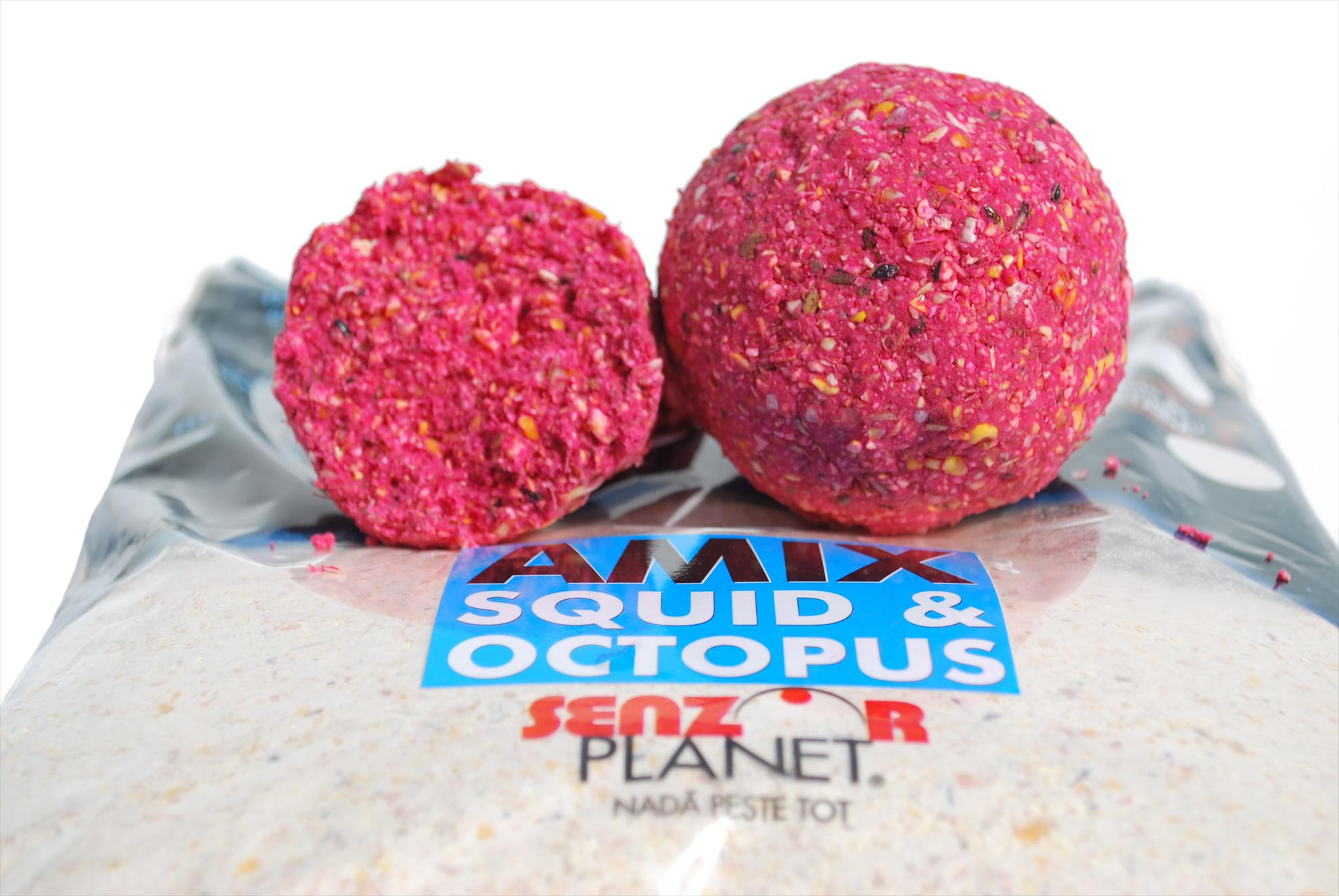 AMESTECURI NADIRE - amix-squid-octopus.jpg